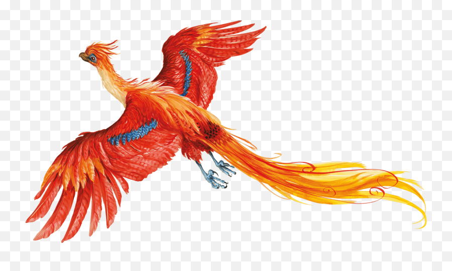 Harry Potter Png No Background - Harry Potter Phoenix Bird,Harry Potter Logo Transparent Background