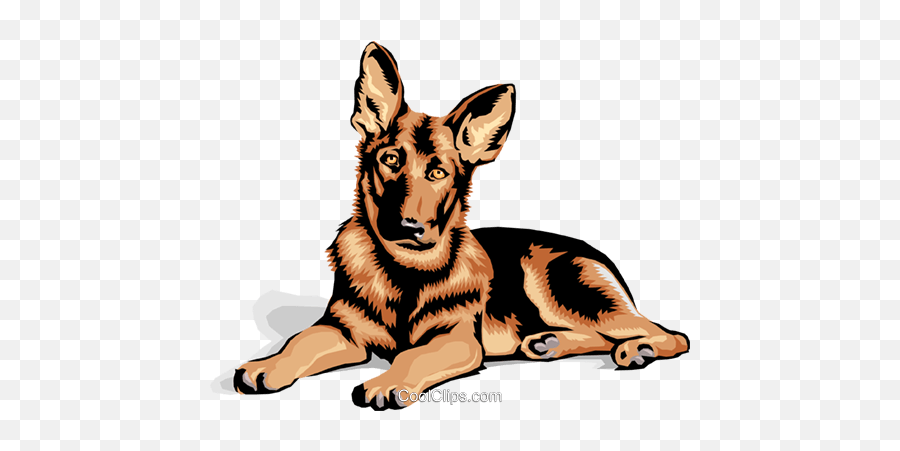 German Shepard Puppy Royalty Free - Associative Learning Png,German Shepherd Png