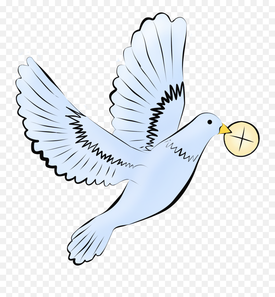 Prima Comunione Colomba Komunia Wi Ta First Communion - Clip First Communion Dove Png,First Communion Png