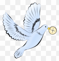 Prima Comunione Colomba Komunia Wi Ta First Communion - Clip Dove png