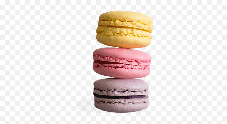 Macaron Png Images Free Download - Transparent Background Macaron Transparent,Macaron Png