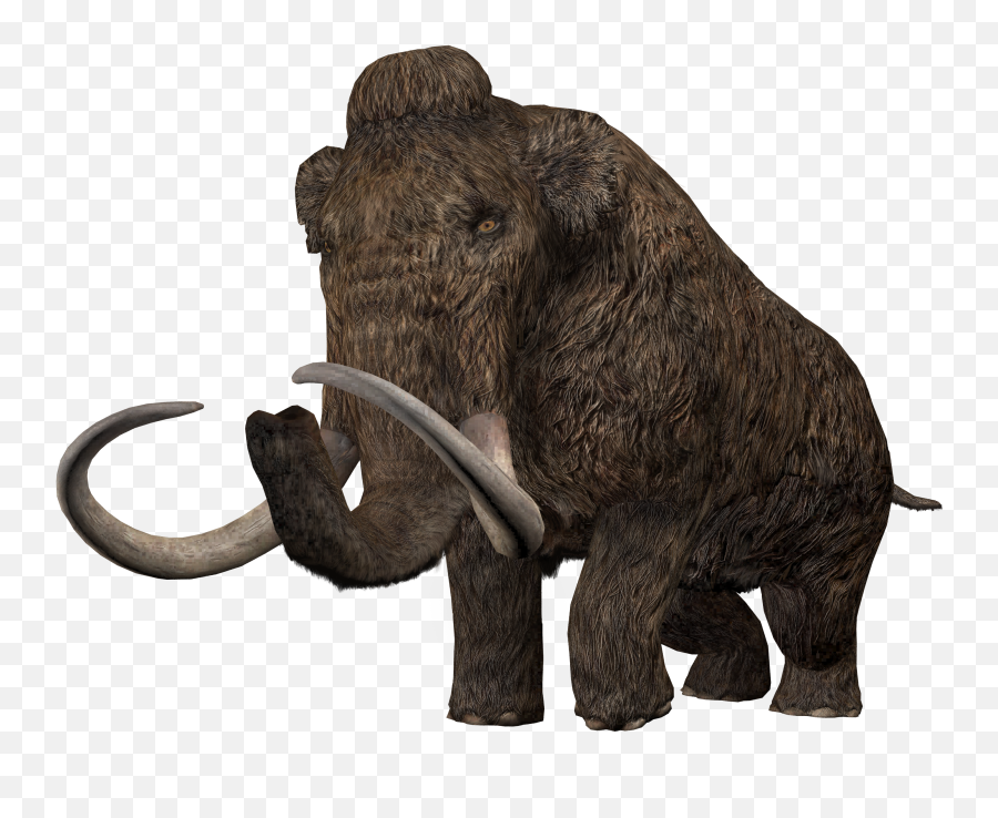 Woolly Mammoth Png
