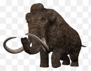 Woolly Mammoth Png