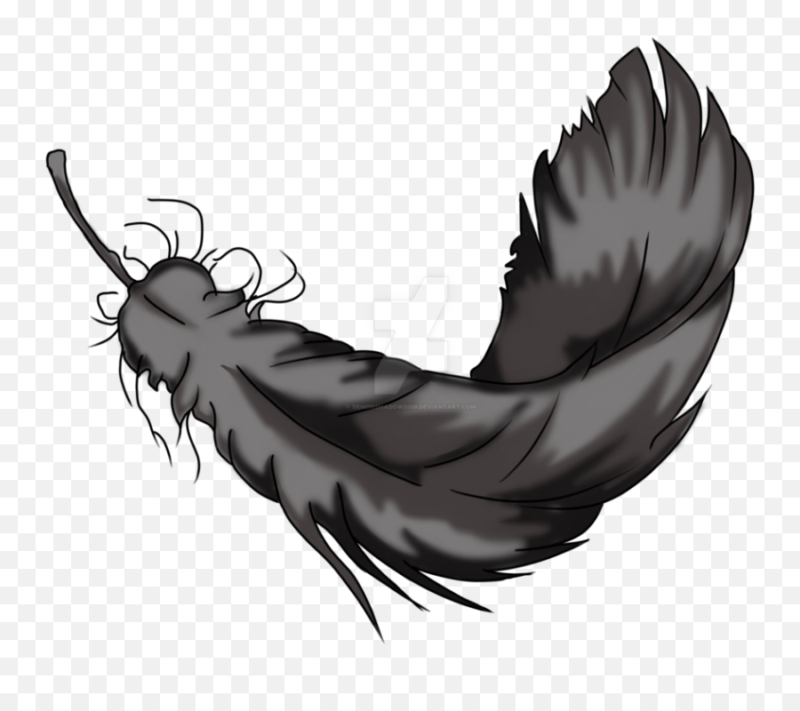 Twin Drawing Feather - Raven Feather Drawing Clipart Full Parasitism Png,Feather Drawing Png