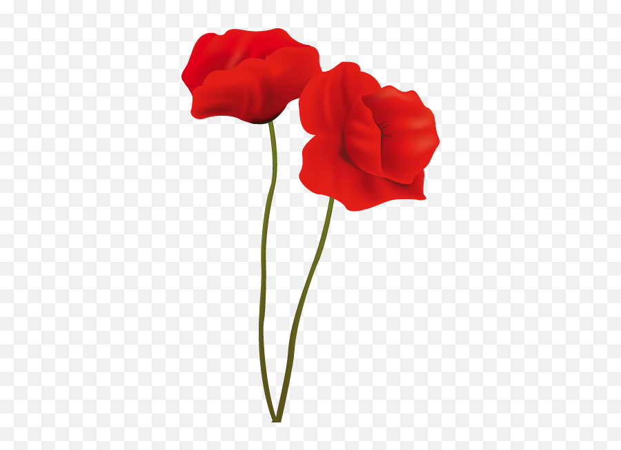 Sweet Love U Mom - Free Images Of Poppy Flower Png,Poppies Png