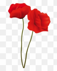 Sweet Love U Mom - Free Images Of Poppy Flower Png,Poppies Png