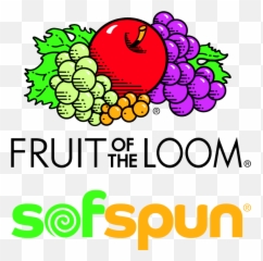 Cheap Screen Printing Sofspun T - Transparent Png Fruit Of The Loom Logo