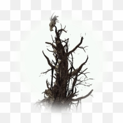 Bdo Witch Tower Knowledge Database Guide - Bdo png