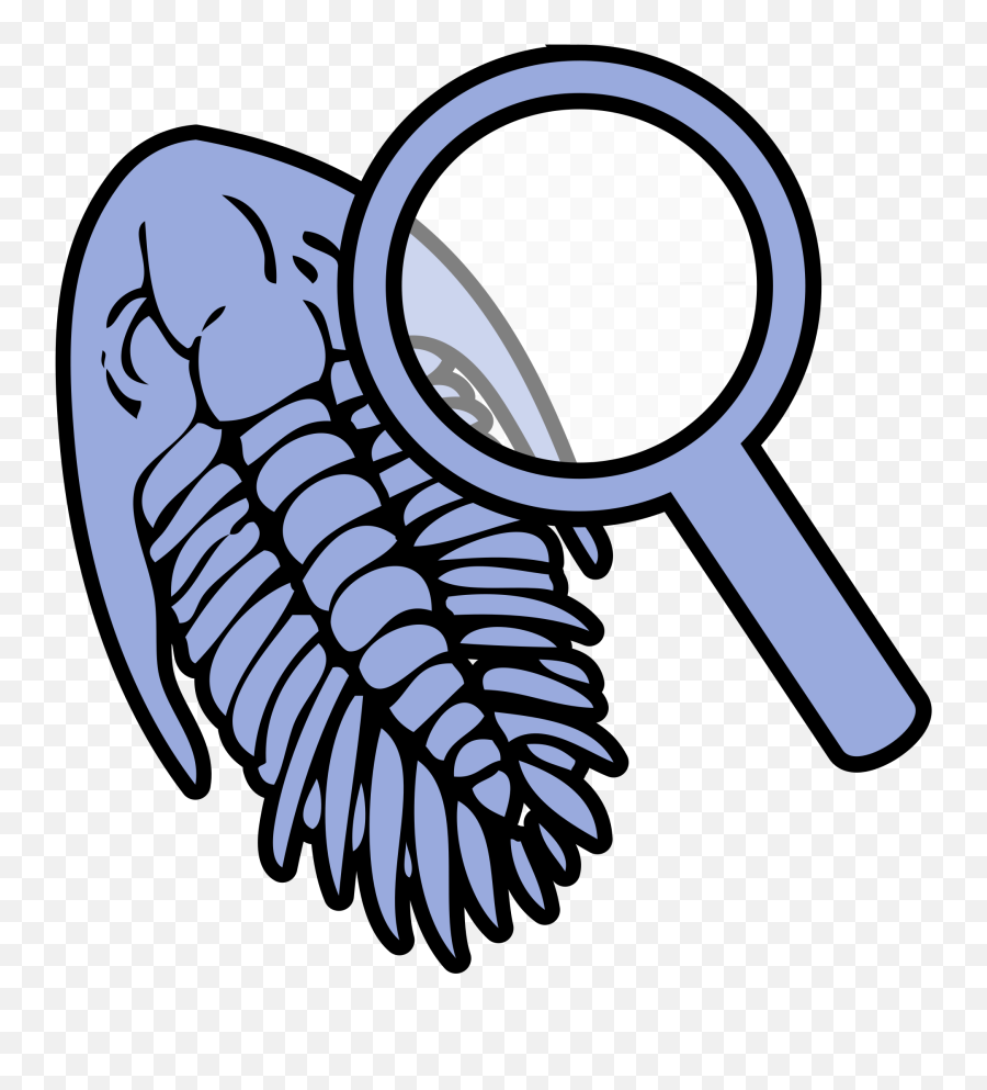 Filetrilobite Under Magnifying Glass Iconsvg - Wikimedia Trilobite Fossil Clip Png,Magnifine Glass Icon
