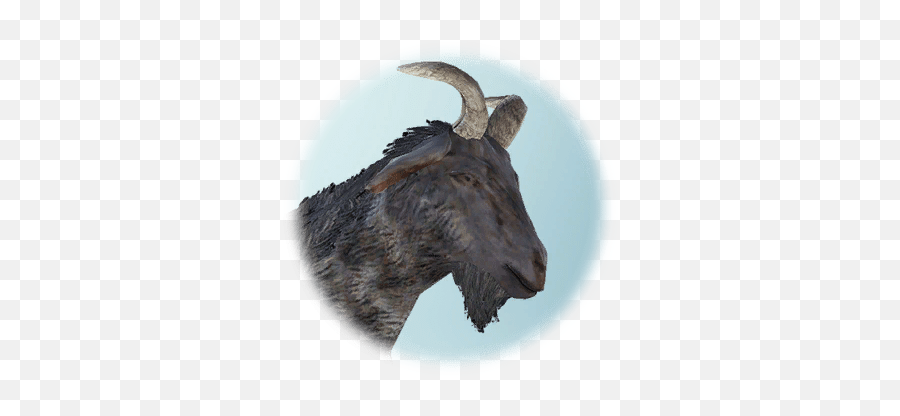 Drieghan Female Goat - Bdo Codex Goat Png,Feral Icon