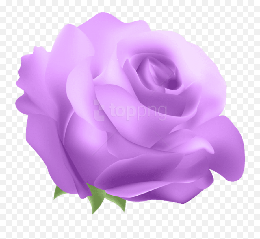 Violet Flower Png - Download Deco Rose Blue Flowers Real Flowers Transparent Background Rose,Blue Flowers Png