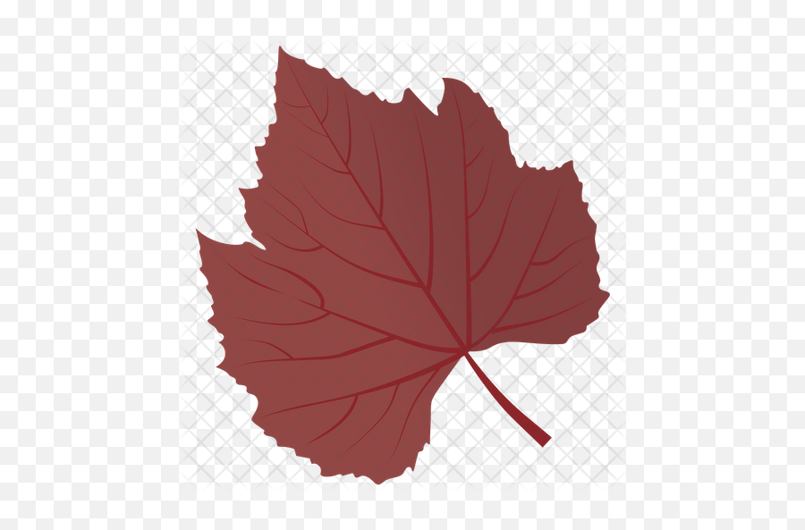 Free Sycamore Leaf Icon Of Flat Style - Sugar Maple Png,Red Maple Leaf Icon