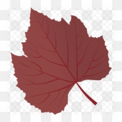 Free Sycamore Leaf Icon Of Flat Style - Sugar Maple png