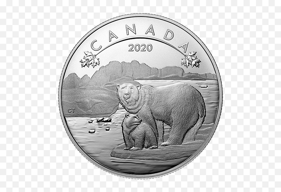 12 Oz Pure Silver Coin - Polar Bears 2020 Canadian Polar Bear Coin Png,Polar Bear Icon