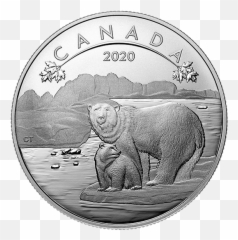 12 Oz Pure Silver Coin - Polar Bears 2020 Canadian png