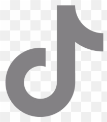 Gray Tiktok Icon - North Cape Png,Grey Twitter Icon