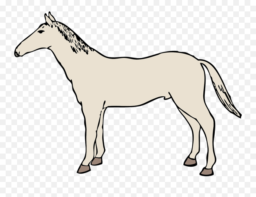 Library Of White Horse Svg Free Png Files - Gambar Kuda Line Art,White Horse Png