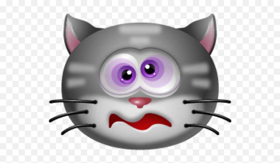 Cat Dizzy Icon - Q Full Size Png Download Seekpng Cat,Icon Q