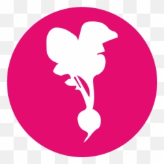 Beet - square icons Fleet Farming Language png