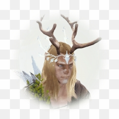 Bdo Viv Foretta Knowledge Database Guide - Bdo Variel Png,Icon Horn Helmet