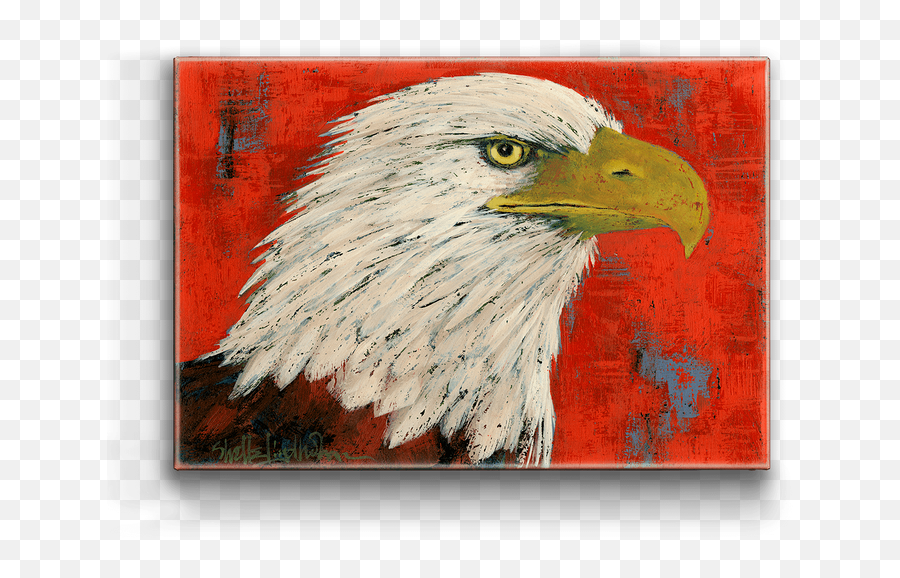 Bald Eagle Box Art - Bald Eagle Png,Bald Eagle Transparent
