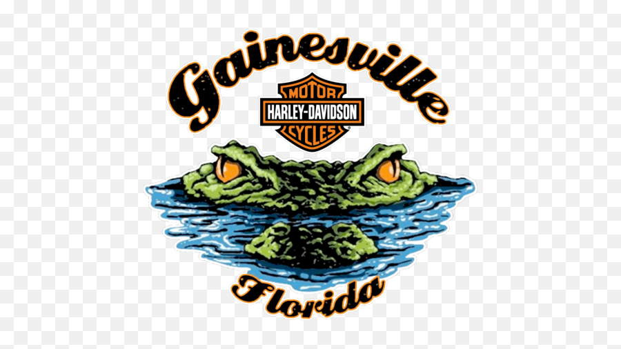 North Floridau0027s 1 Harley Dealer Gainesville - Gainesville Florida Harley Davidson Png,Harley Davidson Logo