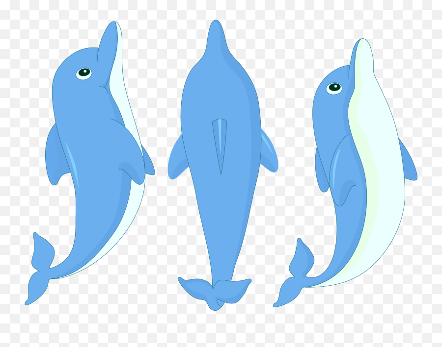 Download Hd Cartoon Dolphin Clipart - Cartoon Cute Dolphin Png,Dolphin Clipart Png