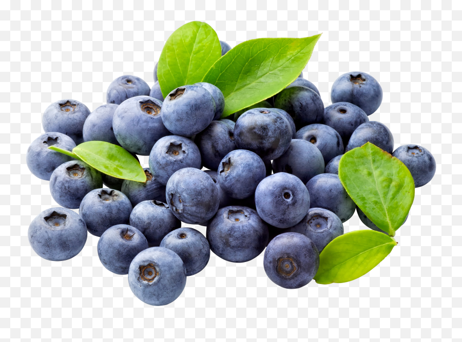 Blueberries Png Image - Blueberries Png,Berries Png