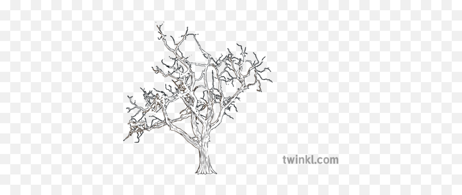 Bare Tree Foliage Winter Mps Ks2 Bw Rgb Illustration - Line Art Png,Bare Tree Png