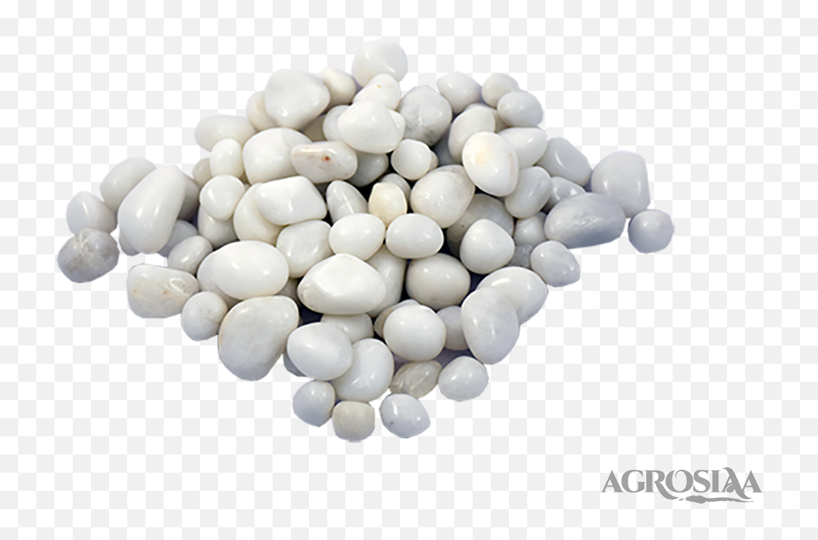 Polished Pebbles Small Agrosiaacom - Pill Png,Pebbles Png