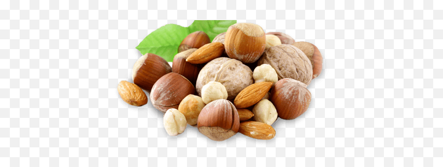 Snacks The Best Organic From - Seed Hazelnut Toronto Canada Png,Nuts Png