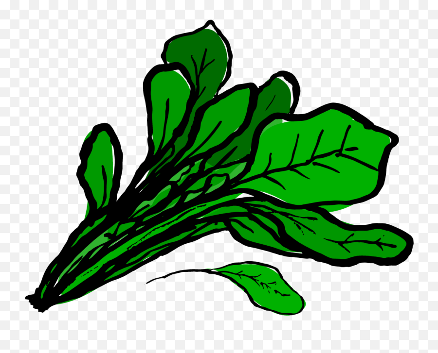 Clip Art Spinach Png - Spinach Clipart Png,Spinach Png