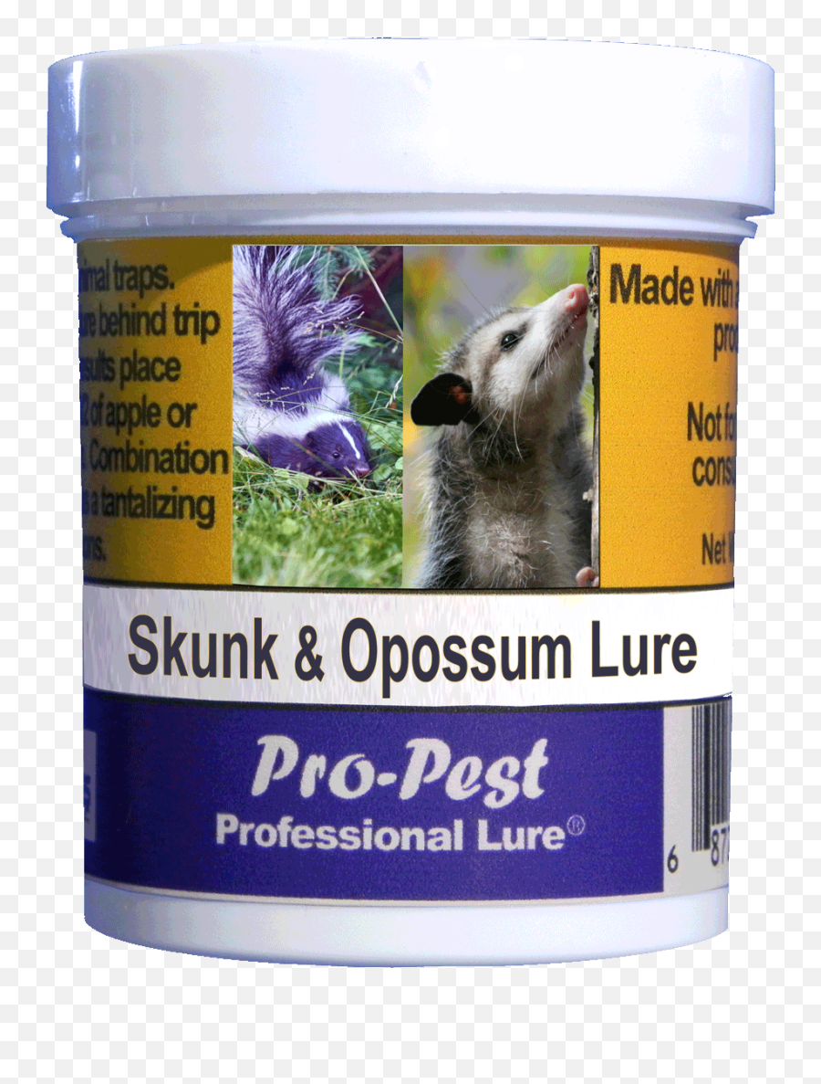 Pro - Groundhog Png,Opossum Png