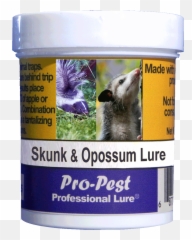 Pro - Groundhog Png,Opossum Png