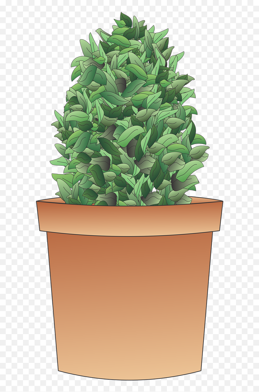 Shrub Plant Tree - Vaso Com Arbusto Png,Shrub Png