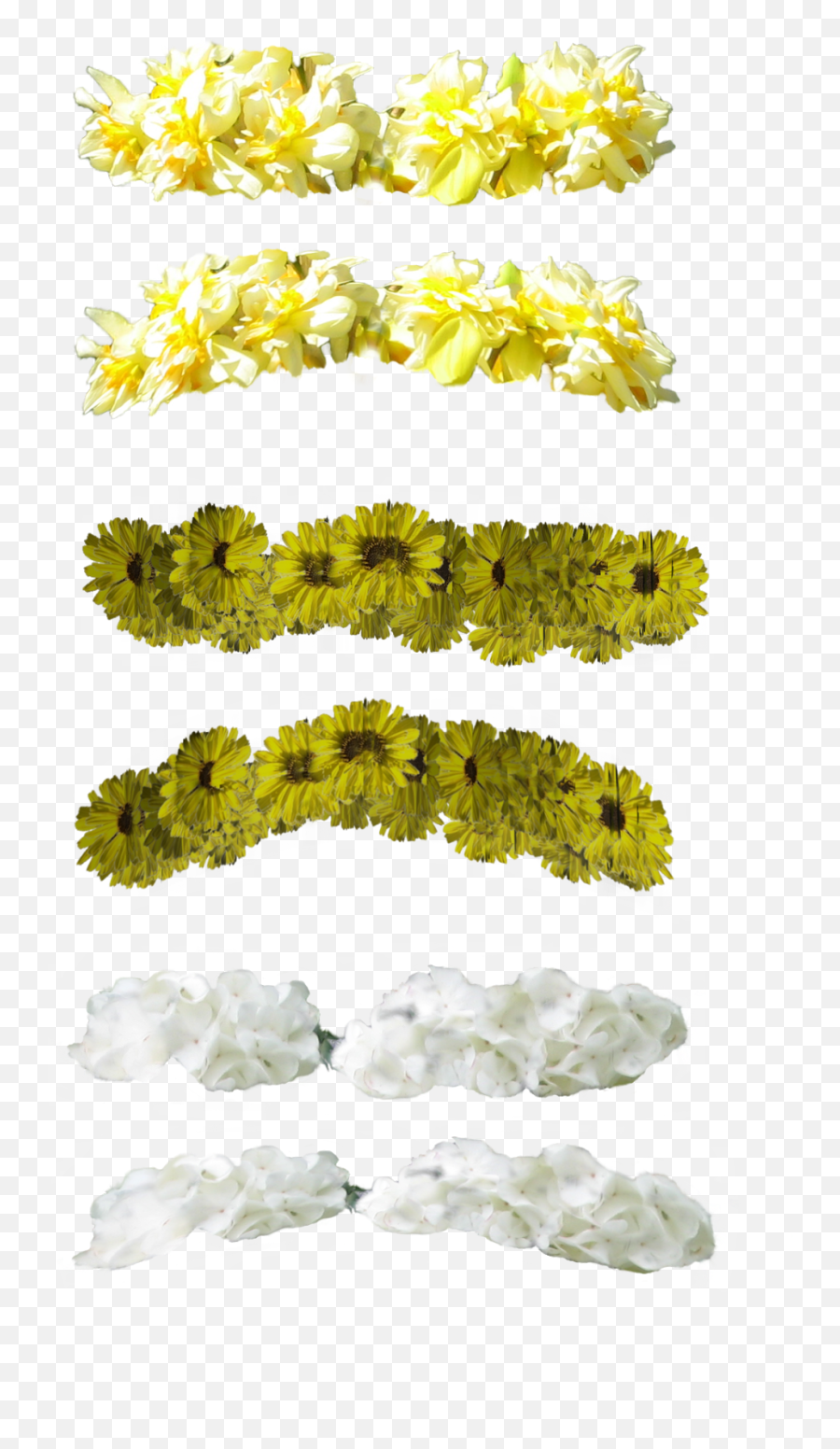 Crown Tumblr Png - Crown Tumblr Transparent Green And Yellow Crown Flower Png,Flower Crown Transparent