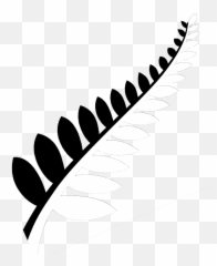 Download Stock Practicepte Newzealand Universities Study In - New Zealand Leaf Logo Png,New Zealand Flag Png