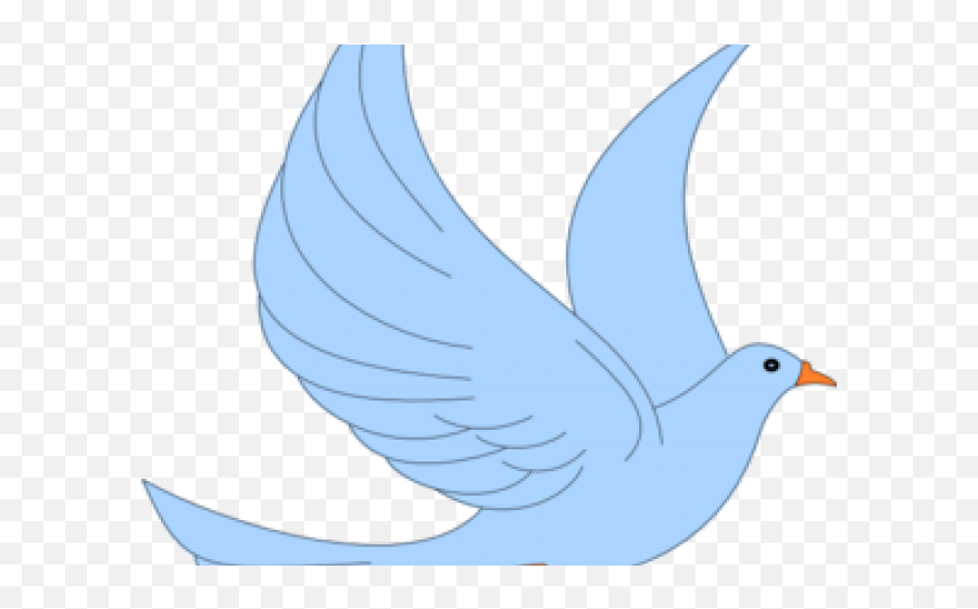 Transparent Bird Cliparts - Pigeons And Doves Transparent Typical Pigeons Png,Doves Png