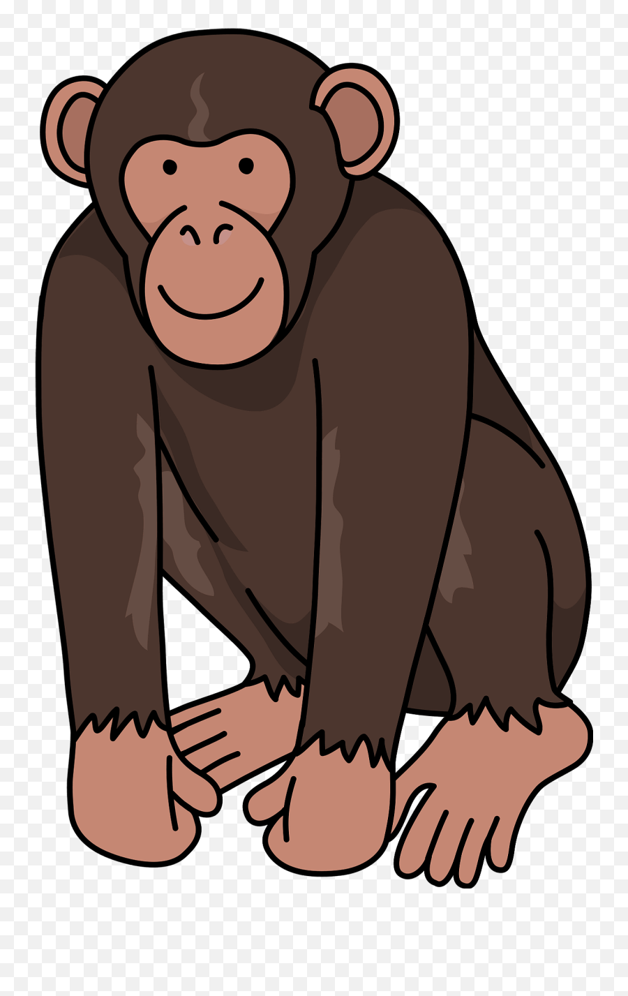 Chimpanzee Clipart - Chimpanzee Clipart Transparent Background Png,Chimpanzee Png