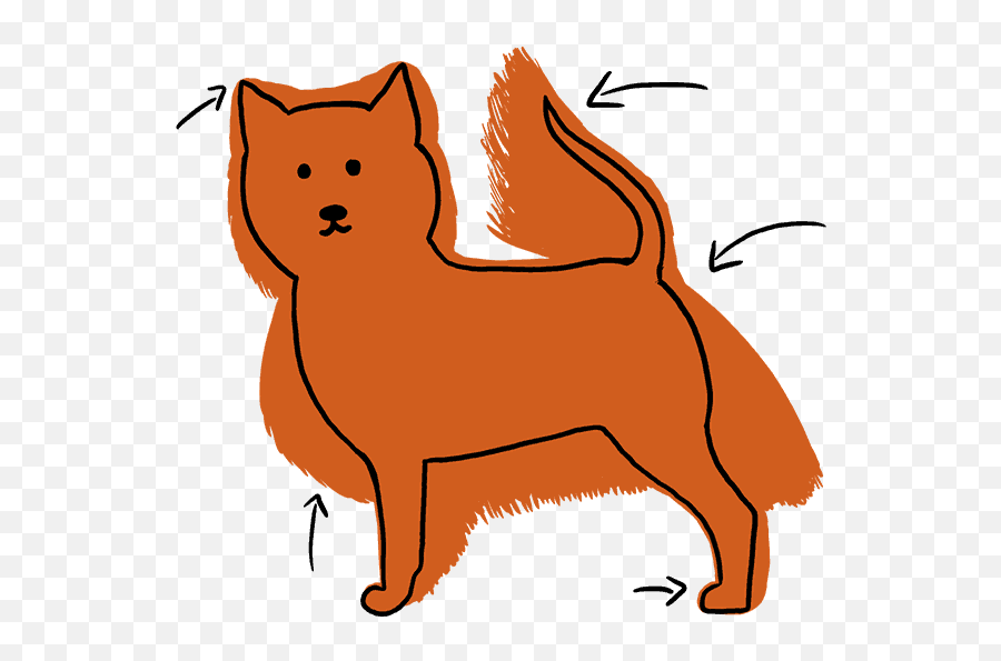 Pomeranian Haircut Styles - Pictures And Diagrams From Animal Figure Png,Pomeranian Png