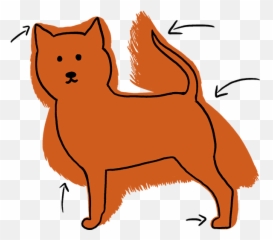 Pomeranian Haircut Styles - Pictures And Diagrams From Animal Figure Png,Pomeranian Png