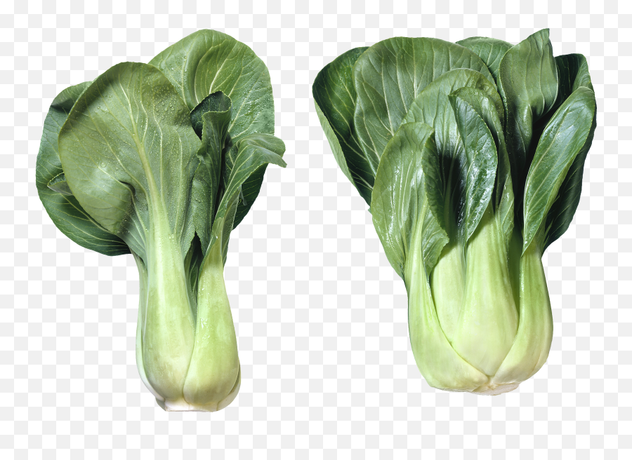 Download Salad Png Image For Free - Bok Choy Meaning,Salad Png