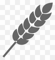 Gray Wheat Icon - Png Free