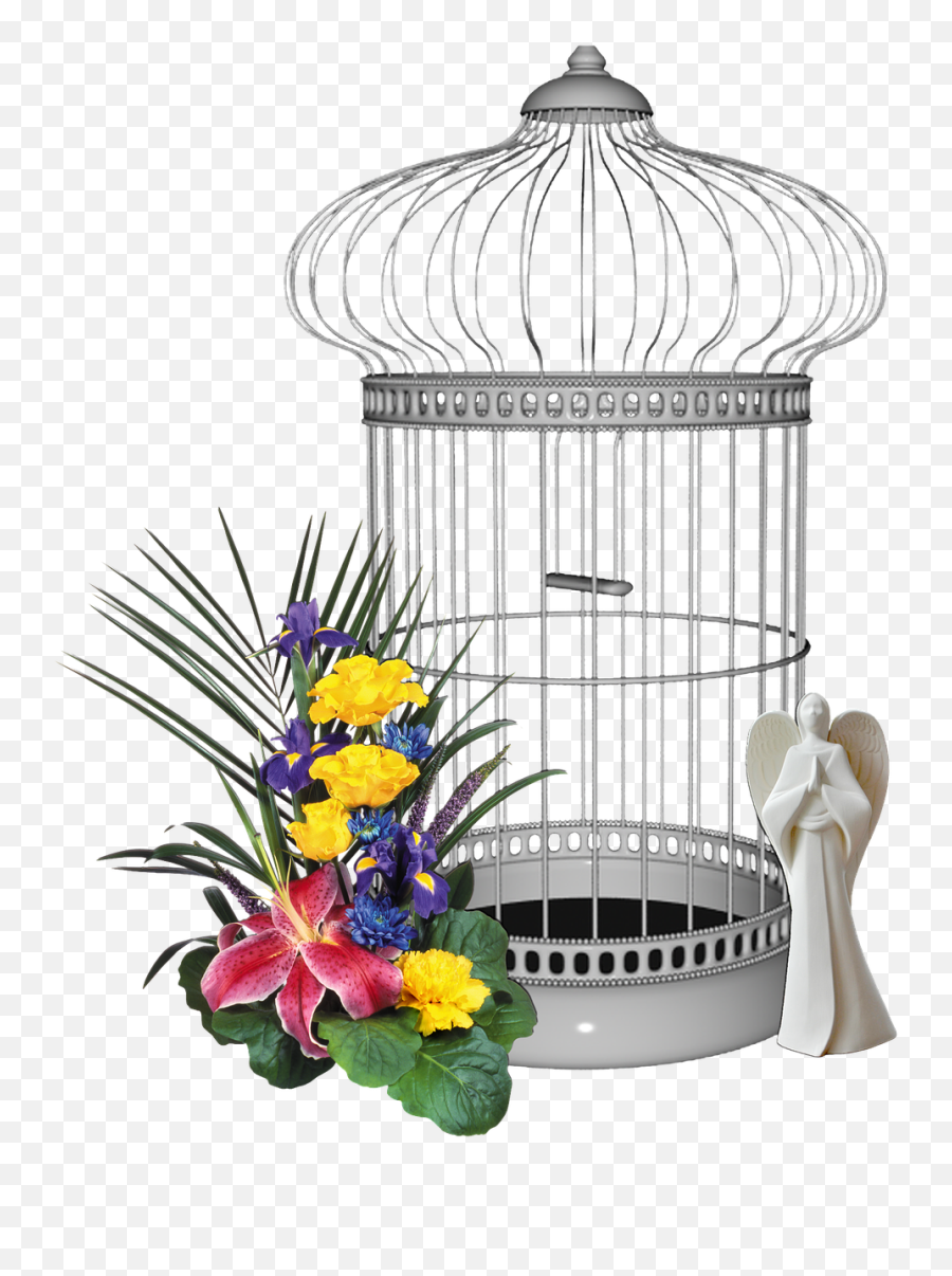 Bird Cage Yellow Flower - Free Image On Pixabay Flower Png,Birdcage Png