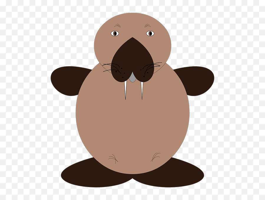 The Sea Lion Animals Mammal - Free Image On Pixabay Leao Marinho Cute Png,Sea Lion Icon