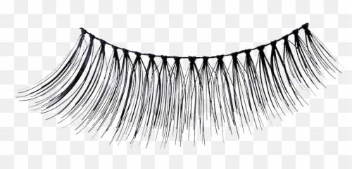 Pre - glued false eyelashes lofty png