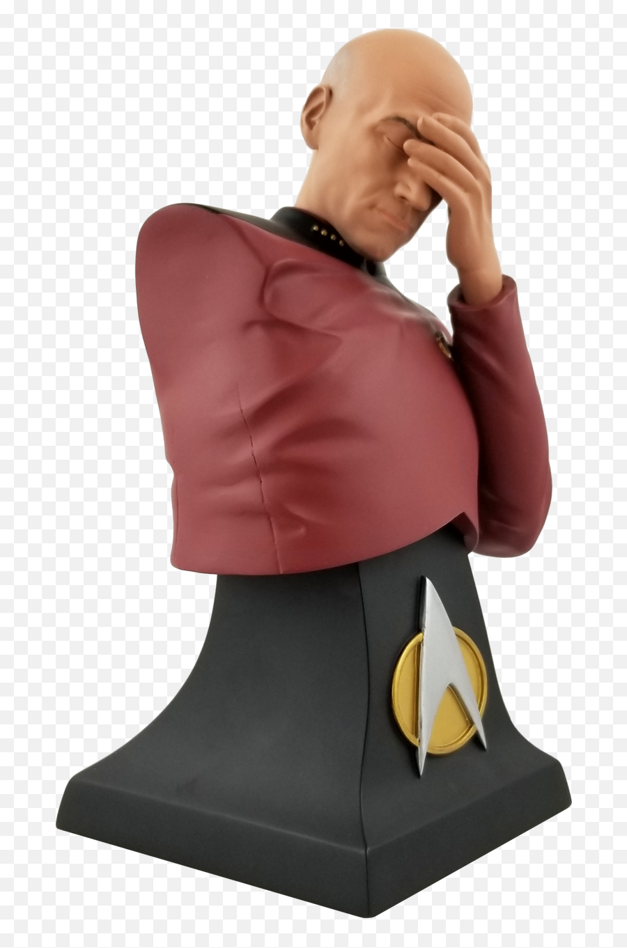 Star Trek The Next Generation Picard Facepalm Limited - Picard Facepalm Bust Png,Anarchy Sock Icon