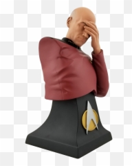Star Trek The Next Generation Picard Facepalm Limited - Bust png