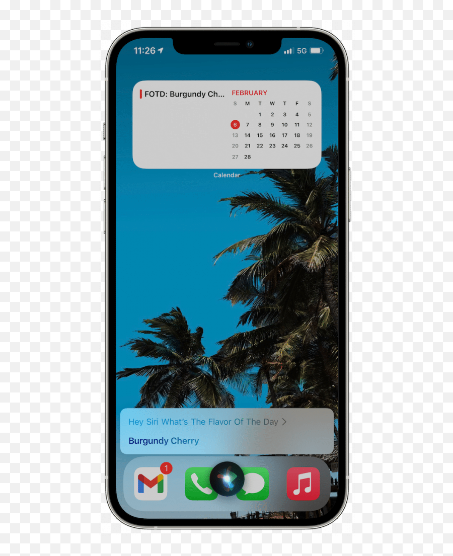 Goodberryu0027s Flavor Of The Day Calendar U2013 Alek Darr - Smartphone Png,Siri Icon Ios 8