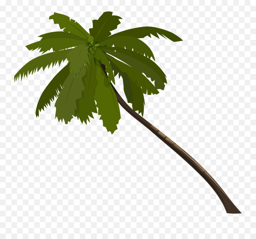 Palm Clipart Jungle Tree - Orange Palm Tree Png,Jungle Tree Png